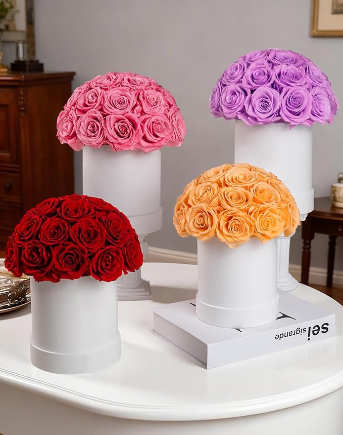 27 Forever Roses Dome in White Box, Eternal Real Roses Gifts for Women, Preserved Flowers for Delivery Prime, Anniversary, Valentine's Day, Christmas, Birthday for Her (Red)