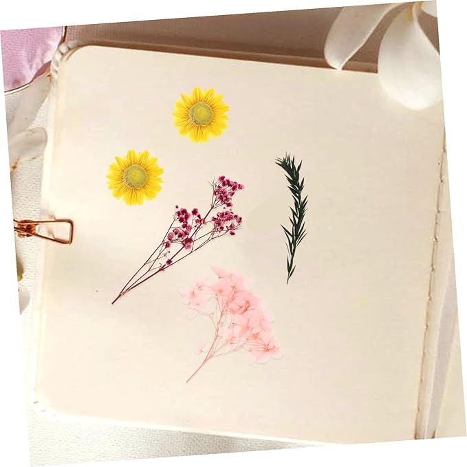 Natural Dried Flowers Material Bag for DIY Crafts Pressed Floral Bouquet Making Kit Romantic Handcraft Supplies for Greeting Cards Home Decoration and Wedding Embellishments