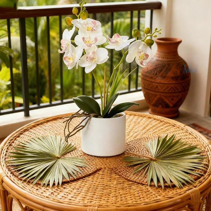 Jusdreen Artificial White Orchid in Ceramic Pot, Realistic Phalaenopsis Arrangement with Potting for Home Office Table Decor, 14.5 Inch Flower Centerpiece