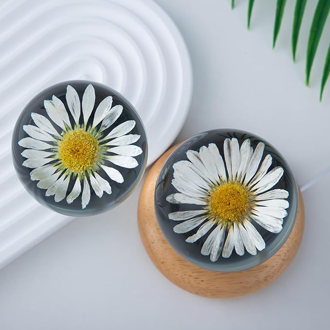 Flower Crystal Ball Night Light,2.75 inch Glass Ball Night Lamp with Woodern Base (Leucanthemum)