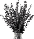 Black Eucalyptus Stems Decor,20PCS 17" Real Dried Preserved Eucalyptus Stems Plant for Home Vase Wedding Festival Floral Fall Halloween Arrangement Decorations