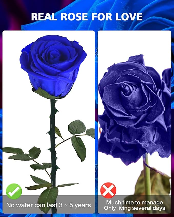 Blue Rose Flowers Gifts for Women: Preserved Roses Birthday Christmas Anniversary for Mom Girlfriend Wife Grandma