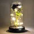 QUELIEN Black Roses in Glass Dome,Eternal Rose Gift for Women,Lasts Forever Home Decor,Mother's Day Christmas