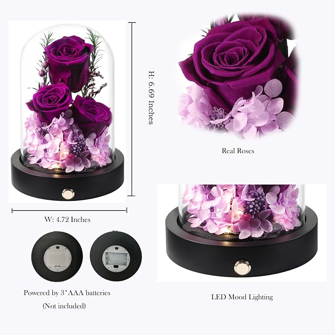 Gifts for Women,Preserved Roses in Glass Dome, Forever Flowers for Delivery Birthday Gifts for Wife Girlfriend Mom on Valentines Day Anniversary Christmas Eternal Rose Purple