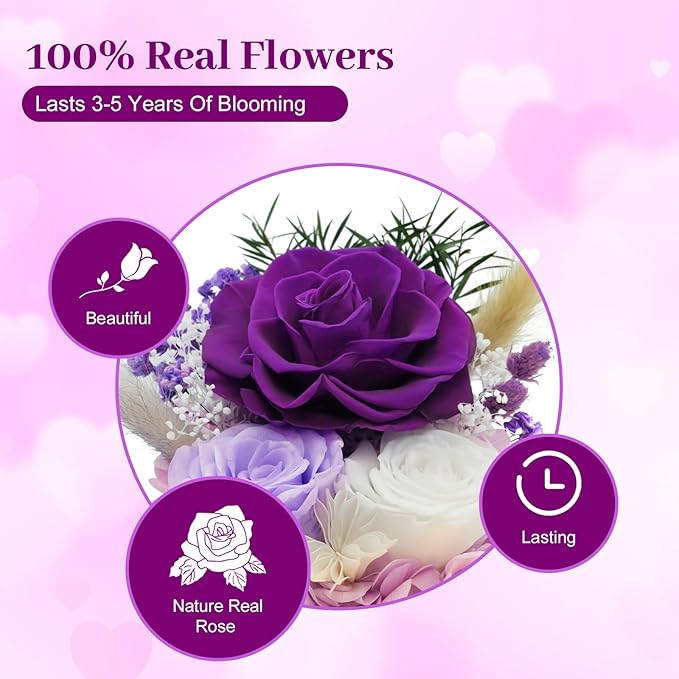 Birthday Gifts for Mom Forever Flowers for Delivery Prime Preserved Rose in Glass Dome Long-Lasting Eternal Rose Gifts for Her Women Grandma Wife on Christmas Anniversary Purple Flowers