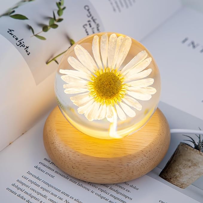 Flower Crystal Ball Night Light,2.75 inch Glass Ball Night Lamp with Woodern Base (Leucanthemum)