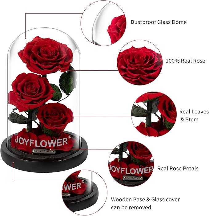 JoyFlower Preserved Flowers Gift for Women, Handmade Eternal Rose in Glass Dome, Forever Real Rose Gifts for Wife Mom Girlfriend, Three Red Roses Gift for Anniversary Birthday Valentine's Mother's Day