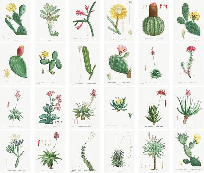 Large Stickers 24 pcs (2.5"x3.5" Each) Cactus and Succulents Vintage Botannical Books Illustrations by Redoute Retro Postcards Greeting Card Reprint