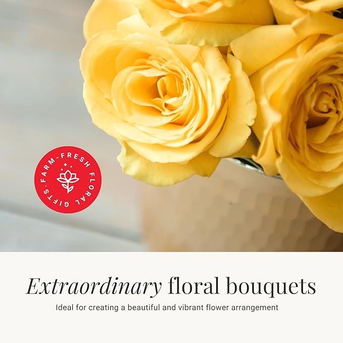 BloomsyBox - Yellow Roses,24 Long Stems, Long Lasting, Hand-Tied in Eco-friendly, Vase Not Included, Fresh Flowers for Delivery – Gift for Birthday, Anniversary, Get Well, Congratulations, Wedding