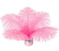 Piokio 20 pcs Pink Ostrich Feathers Plumes 8-10 inch(20-25 cm) Bulk for DIY Handmade Artwork and DIY Clothes, Feather Pens, Dream Catcher, Table Decoration.