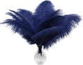 Piokio 20pcs Natural Navy Blue Ostrich Feathers 10-12 inch (25-30cm) Bulk Feathers for Home Decoration and DIY Clothing and DIY Clothes Decoration, Gatsby Decorations