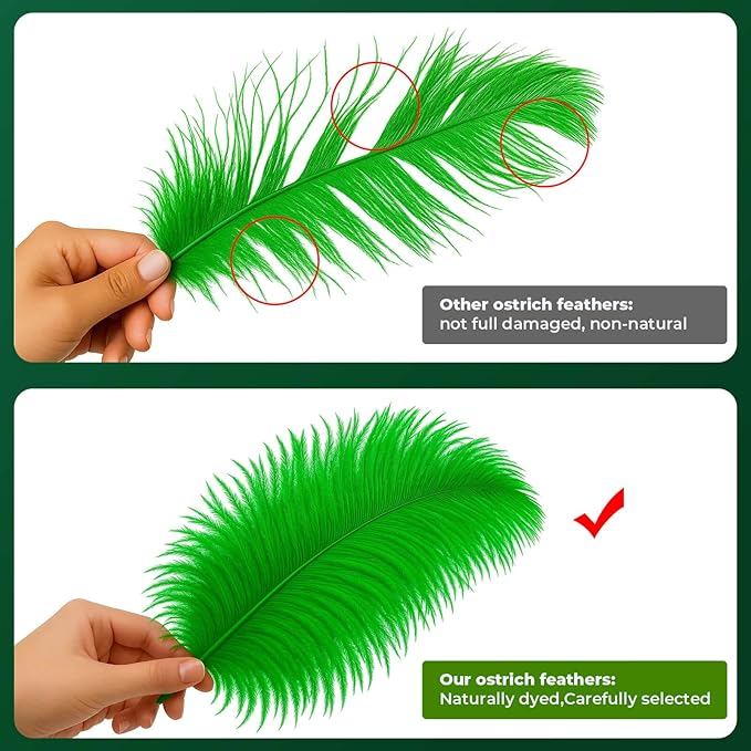Piokio 10 pcs Natural Green Ostrich Feathers 14-16 inch(35-40 cm) Bulk for Wedding Party Decoration Gatsby Decorations