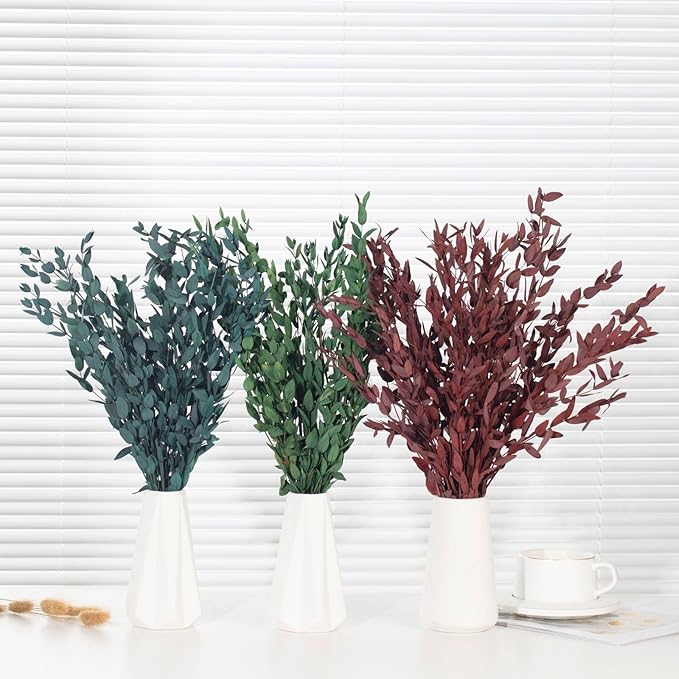 Dried Eucalyptus Leaves Preserved Greenery Stems, 8-14 PCS Eucalyptus Garland Branches, 4 OZ Red Leaves Plant Bundle for Wedding Wreath Party Home Decor Vase Filler