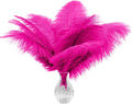 Piokio 20 pcs Fuchsia Ostrich Feather 12-14 inch(30-35 cm) Bulk for Wedding Party Centerpieces and DIY Clothes Decoration, Gatsby Decorations