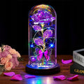 Womens Gifts for Christmas,Christmas Flowers Gifts for Women Mom Sister Grandma Wife Girlfriend, Rose Gifts for Mom,Xmas Gifts Her,Glass Flowers Light Up Rose for Women Purple