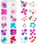60Pcs Small Dried Pressed Flowers for Crafts,Xinxinran Tiny Dry Flower Kit for Nail Art,Epoxy Resin Accessories,Bookmark,Nails, Jewelry Making,Candle,Soap,Resin Molds(1 Boxs)