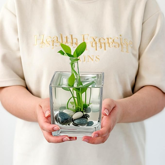 Set of 6 Square Glass Vases for Centerpieces – 5in x 5in x 5in Clear Short Flower Vase, Plant Terrariums, or Candle Holders for Wedding Centerpieces, Office Decor, Home Décor, Parties