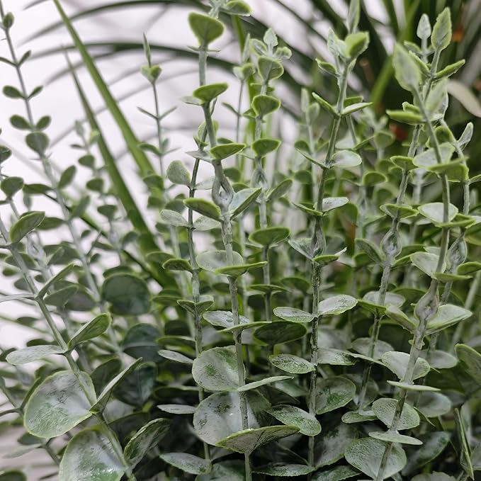 50 Pcs Artificial Eucalyptus Stems Fake Eucalyptus Greenery Branches for Floral Arrangements, Wedding Centerpiece, Crafts