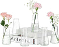 Hewory Glass Bud Vases for Centerpieces: Small Clear Modern Flower Vase Set of 6, Minimalist Cute Mini Decorative Bulk Vases for Wedding Birthday Bridal Shower Party Events Dining Room Table Decor