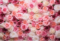 Pink Roses Background Flowers Wall Photography Background Various Floral Roses Backdrops Anniversary Birthday Wedding Baby Shower Backgrounds Decor Children Adults Video Studio Prop 15x8ft