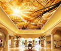 Cliouar-Warm Autumn Sun Shines Through The Golden Crowns of Tall Beech Trees Peel and Stick 137" x 102"