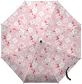 Umbrellas for Rain Lightweight Travel Umbrella 42" Canopy UV Protection Sun Umbrella Windproof Compact Umbrellas