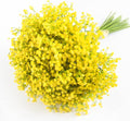 DEEMEI 15 PCS Babys Breath Artificial Flowers Fake Babys Breath Flowers Artificial Bulk Yellow Gypsophila Bouquets Real Touch Faux Flowers for Wedding Floral Arrangement Party Home Decoration