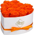 GLAMOUR BOUTIQUE Preserved Roses in a Box - Gifts for Her, Wife & Mom, Rose Flowers Forever Decor for Birthday Gift, Get Well Flower Bouquet Cased in White Box with Cover - Orange - 16-Piece