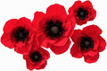 Crepe Paper Flowers Decoration for Wall, Artificial Flowers for Wedding Decor,Flower Backdrop Decor,Baby Shower,Birthday Party,Photo Backdrop,Archway Decor, Nursery Wall Decor (Red;Set/5)