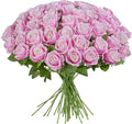Uqueeten Fake Plants Roses Flowers Plastic Flowers Party Decoration for Home Gifts for Gf Roses Artificial Flowers for Vase Fake Plants Home Decor 19.6"(Deep Pink 50PCS)