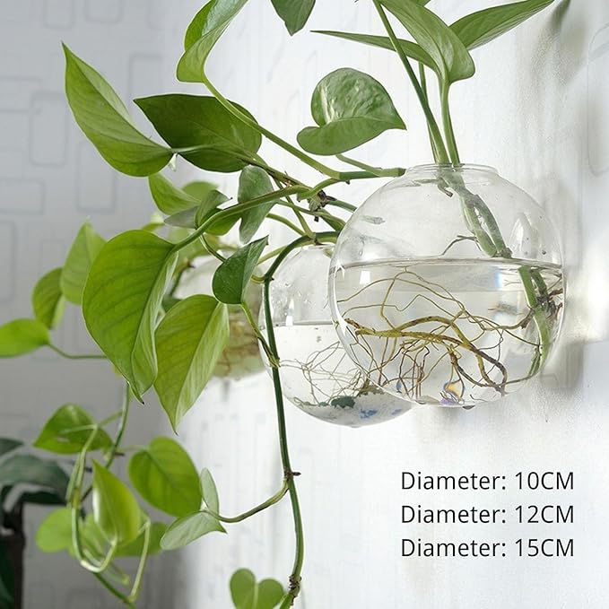 Wall-Mounted Acrylic Planter for Hydroponic Plants – Mantou Vase Medium, Modern Transparent Design for Home & Office Decoration