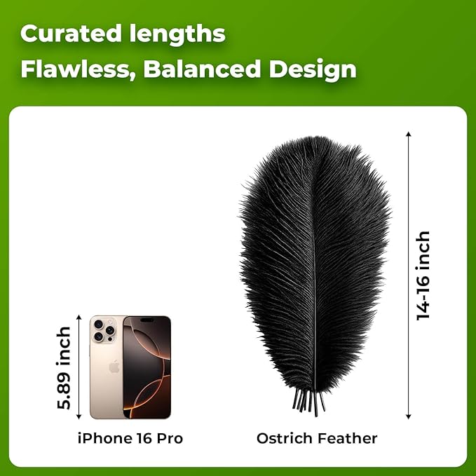 Piokio 10 pcs Natural Black Ostrich Feathers 14-16 inch(35-40 cm) Bulk for DIY Halloween Decorations, Wedding Party Centerpieces, Gatsby Decorations