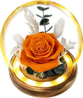 TGELATA Flowers, Roses Gift - Fresh Flowers Bouquet & Preserved Roses, Rose Arrangement That Lasts Forever – Birthday Gift for Women, Mother’s Day & Christmas