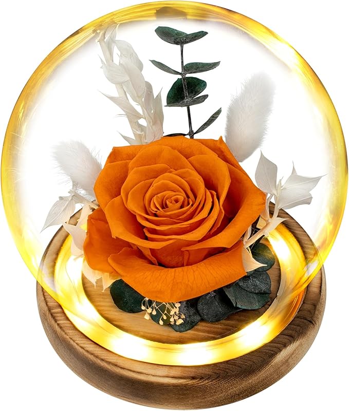 TGELATA Flowers, Roses Gift - Fresh Flowers Bouquet & Preserved Roses, Rose Arrangement That Lasts Forever – Birthday Gift for Women, Mother’s Day & Christmas