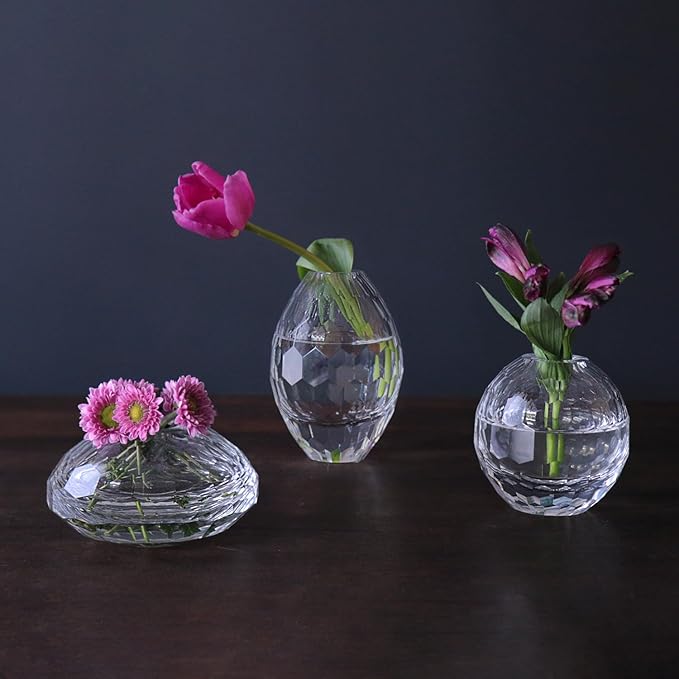 Beatriz Ball Glass Faceted Round Bud Vase (Clear)