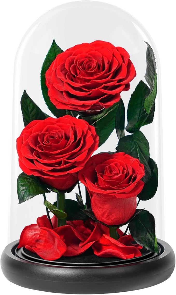 Flowers Roses Gifts for Women - Birthday Gifts Forever Preserved Rose in Acrylic Dome Forever Real Flowers for Delivery Grandma Wife Her Eternal Rose Flower Gifts for Mom Friends Sister