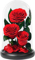 Flowers Roses Gifts for Women - Birthday Gifts Forever Preserved Rose in Acrylic Dome Forever Real Flowers for Delivery Grandma Wife Her Eternal Rose Flower Gifts for Mom Friends Sister