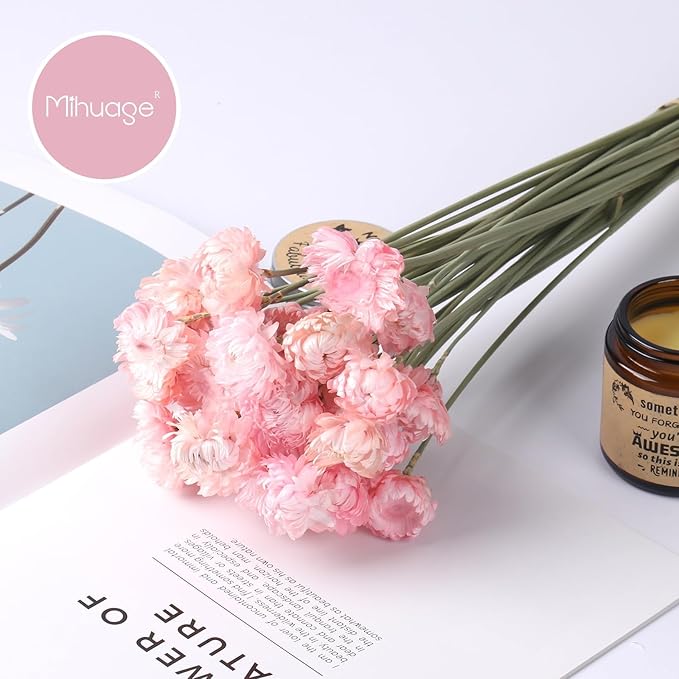 Dried Flower 30PCS Daisy Bouquet Preserved Chrysanthemum Dry Flower for Vase Home décor Party DIY Arrangement Wheat Straw Bulk (Light Pink)