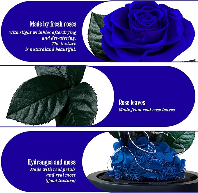 3 Preserved Flowers Roses in Glass Dome with Light for Beauty and The Beast Decor Real Rosas Eternas for Women Mom Birthday,Forever Blue Roses for Delivery,Christmas for Wife Girlfriend Her