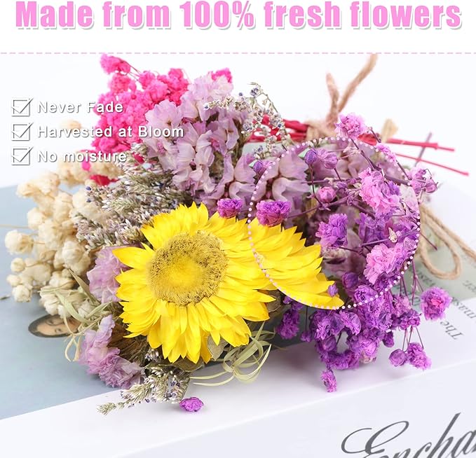 10 Pack Mini Dried Babys Breath Flowers Bouquet Natural Gypsophila Dried Flower with Stem Dried Embossing Flower Bundles Artificial Flowers Dried Floral Arrangement for Resin, Vase, DIY, Photo Prop