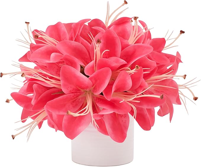 Artificial Flowers in Vase, Fake Lily Flowers with White Ceramic Vase, Small Potted Faux Floral Arrangements for Home Desk Kitchen Lavatory Coffee Tea Wedding Table Centerpiece Decor (Hot Pink)
