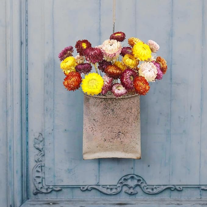 20 Pcs Natural Dried Daisy Flowers Bouquet Dried Flower Multicolor Daisies Dried Sunflowers Chrysanthemum Dry Flower with Stem for Wedding Farmhouse Table Vase Decor Home DIY Floral Arrangement