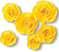 6 Pcs 3D Paper Flower Decoration for Party, Wedding Decoration, Background Wall, Nursery Room Decoration, Bridal Shower, Baby Shower