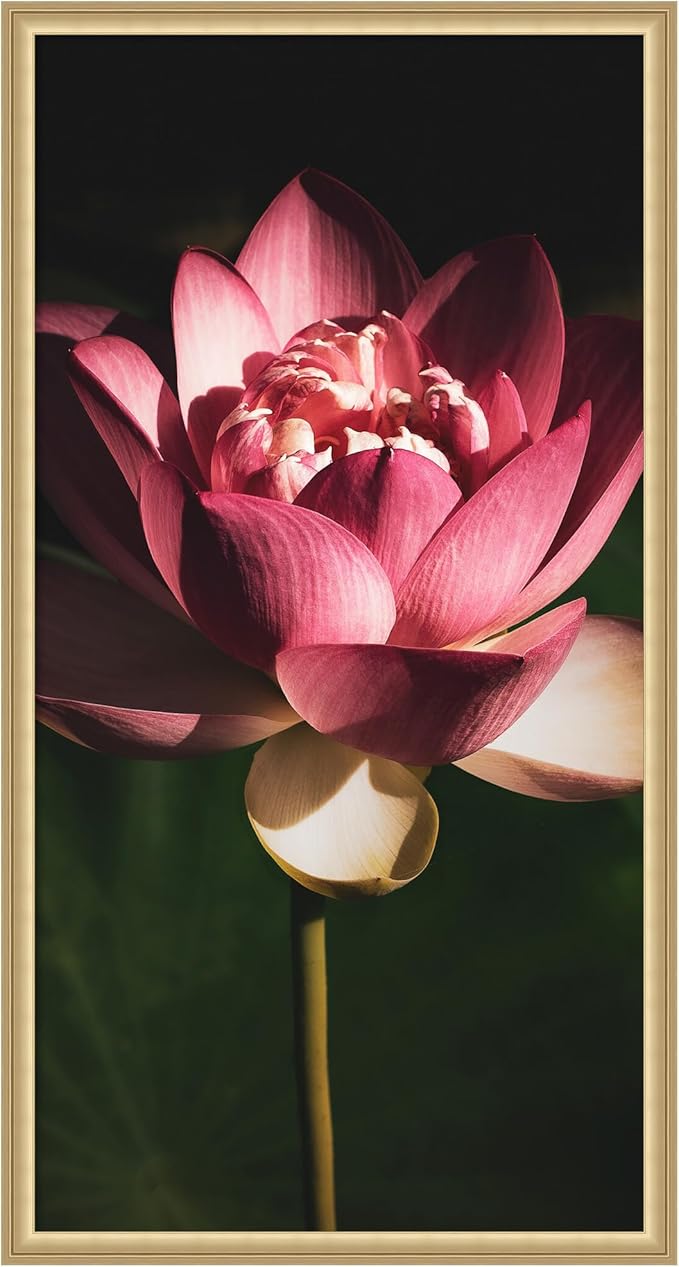 Kate and Laurel Framed Wall Art Print Midnight Lotus Flower by Stephanie Klatt, 22 x 42, Florence Gold Frame, Modern Contemporary, Flower Art for Wall Decor