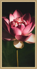 Kate and Laurel Framed Wall Art Print Midnight Lotus Flower by Stephanie Klatt, 22 x 42, Florence Gold Frame, Modern Contemporary, Flower Art for Wall Decor