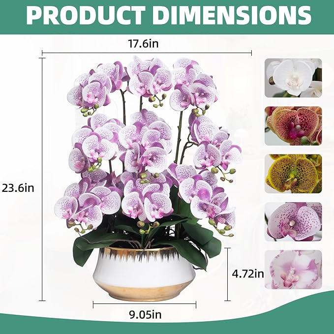 CXGS Orchids Artificial Flower Real Touch Faux Orchid in Large Ceramic Vase Realistic Fake Phalaenopsis Floral Arrangements Centerpiece Table Home Indoor Decor