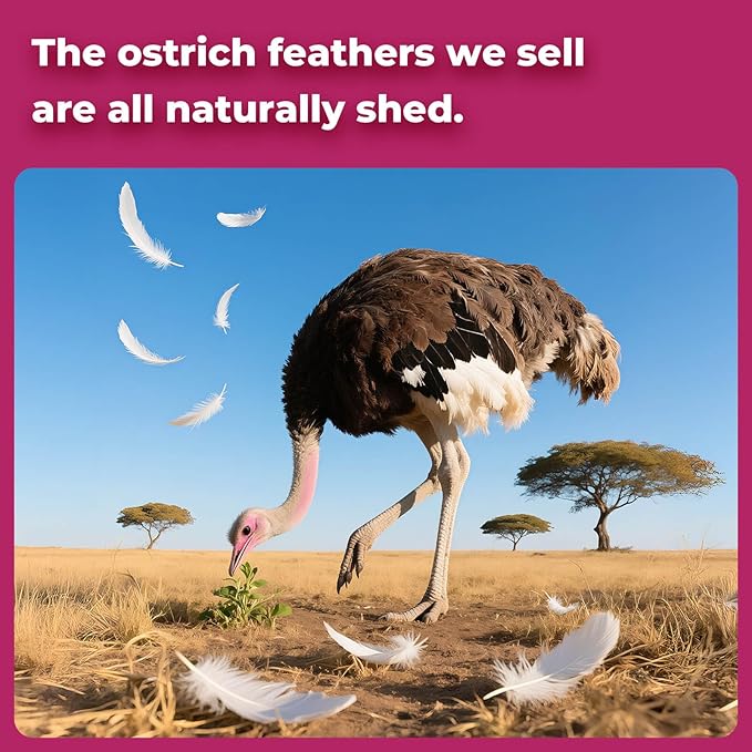 Piokio 10 pcs Natural Gold Ostrich Feathers 14-16 inch(35-40 cm) Bulk for Wedding Party Decoration Gatsby Decorations