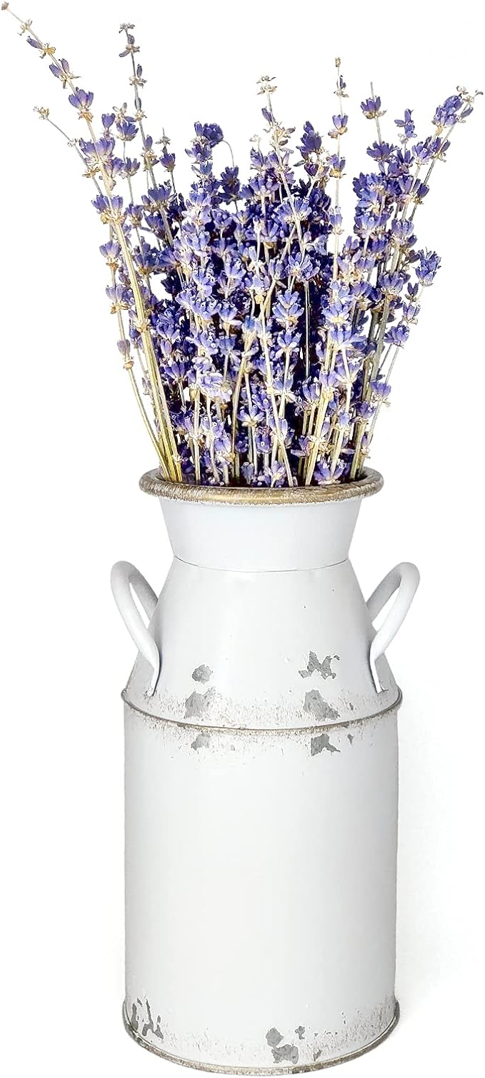 Galvanized Milk Can Antique Retro Vase Metal Planter Rustic Vintage Primitive Flower Holder Farmhouse Country Plant for Home Office Decor, 7.6”
