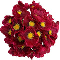 14Pcs Real Touch Anemone Poppy Bouquet for Artificial Flower Decor Kitchen Table Centerpiece Vase Home Greenery Wedding Holding Flowers Backdrop Arch Wall (Wine Red)
