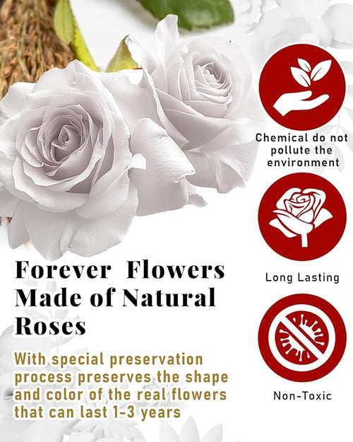 16 Flowers Forever Preserved Roses in Box, Preserved Flowers Womens Birthday Gifts for Women Mothers White Rose Gift for Her Romantic Eternal Rose for Women Mom Friends